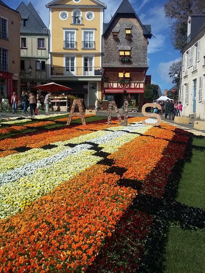 Logis Louisblanc, Muraille Romaine, Lit Queen-Size, Centre Ville Le Mans Exterior photo